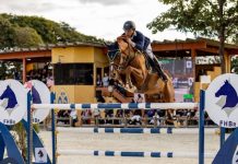 Copa JK de Hipismo reúne elite do esporte e consolida Brasília como polo nacional da modalidade copa-jk-de-hipismo-reune-elite-do-esporte-e-consolida-brasilia-como-polo-nacional-da-modalidade