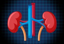 Remédios para pressão podem elevar em 33% o risco renal em diabéticos remedios-para-pressao-podem-elevar-em-33%-o-risco-renal-em-diabeticos