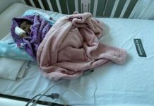 Bebê de 1 ano morre após disputa com plano de saúde por tratamento bebe-de-1-ano-morre-apos-disputa-com-plano-de-saude-por-tratamento