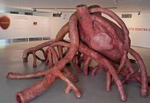 Obra imersiva de Eny Junia transforma o coração humano em arte obra-imersiva-de-eny-junia-transforma-o-coracao-humano-em-arte