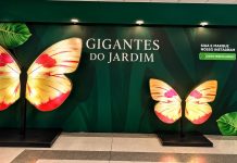 Insetos gigantes invadem shopping em Brasília insetos-gigantes-invadem-shopping-em-brasilia